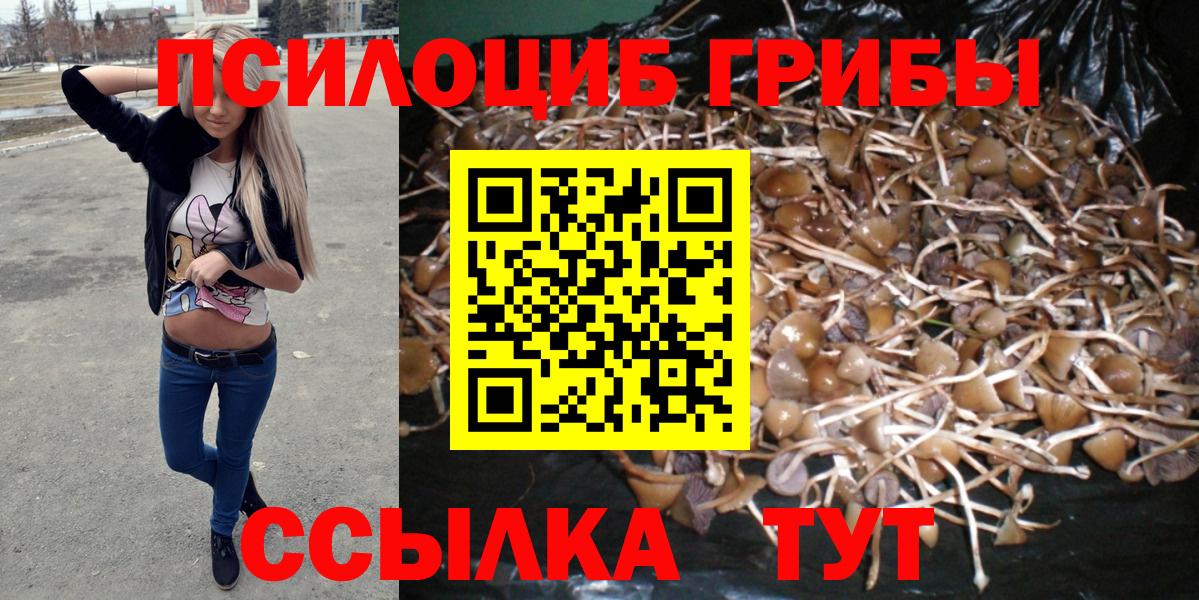Галлюциногенные грибы мухоморы Избербаш