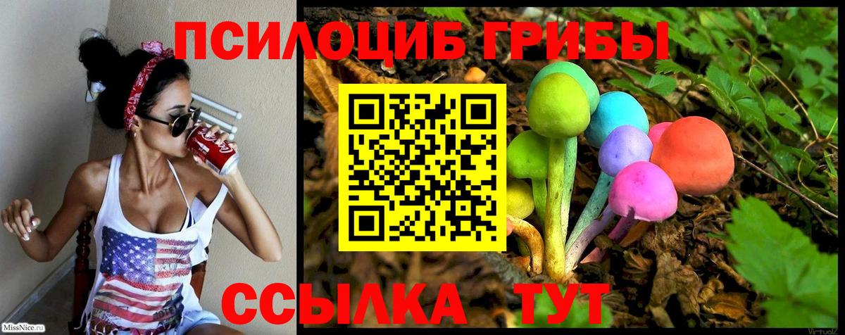 Избербаш  Галлюциногенные грибы мицелий  Вход с VPN 
